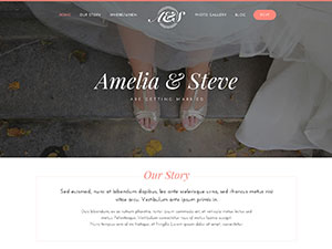 Strona internetowa organizatora wesel